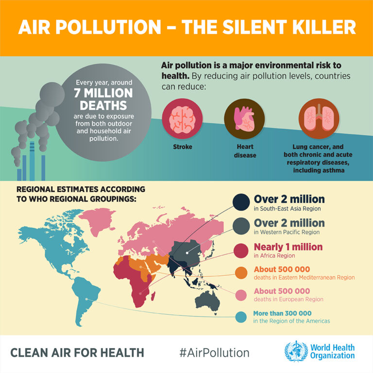 Air Pollution Accounts For Premature Deaths From Cardiovascular Disease ...